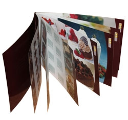 Full Color 11x8.5 booklet printing