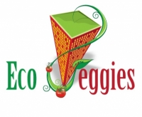 Company Logo Design